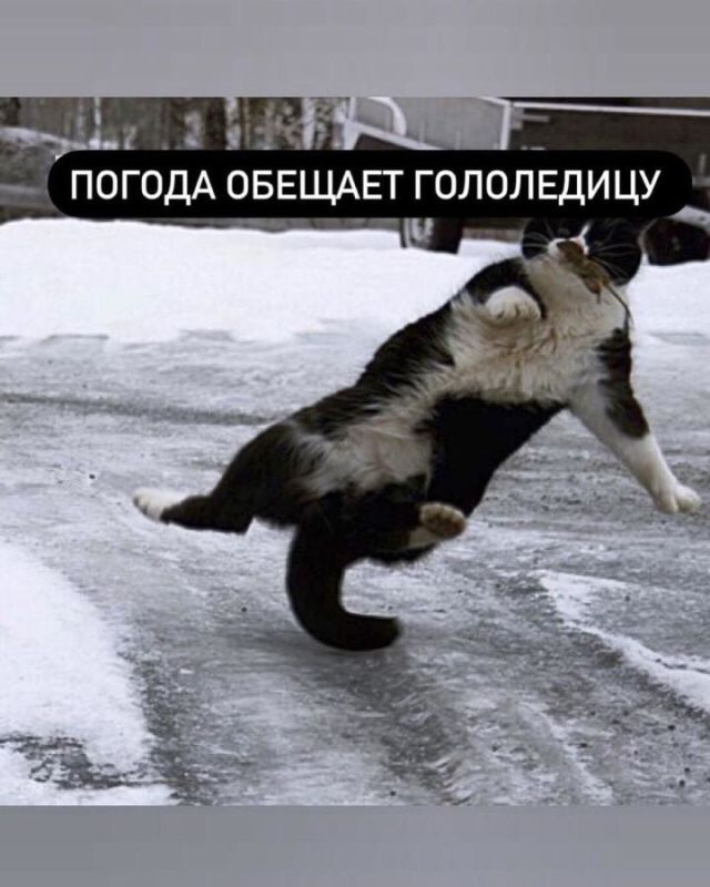 : 3     