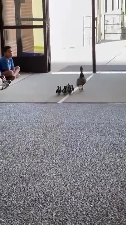  :         ,    
