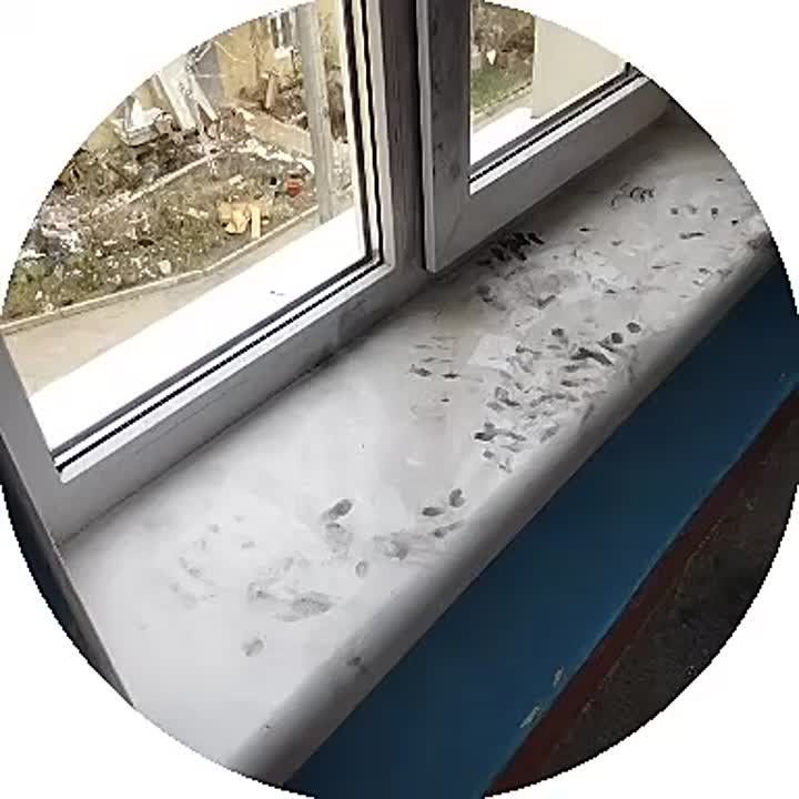   ,  
