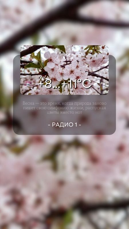 4    ,  
