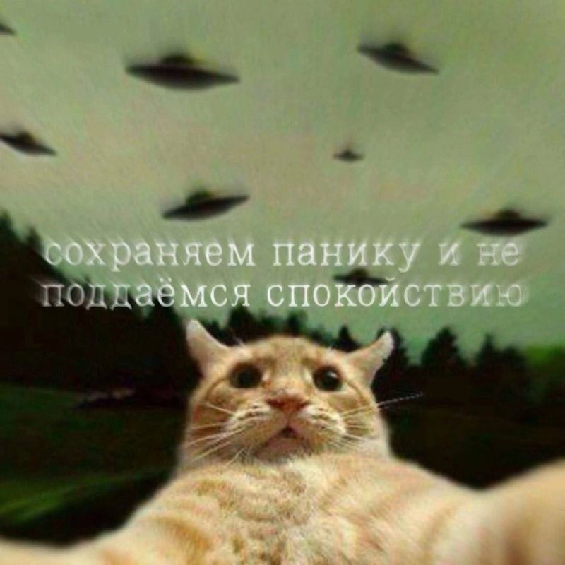    ?  !  11:00          