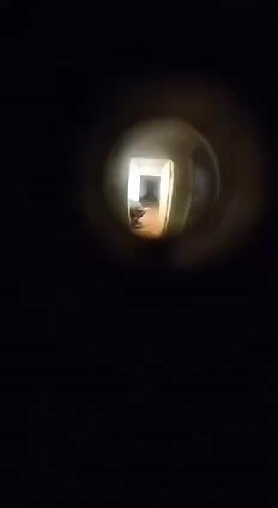          ,          