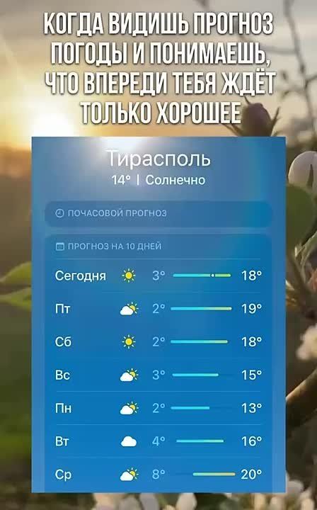             +19
