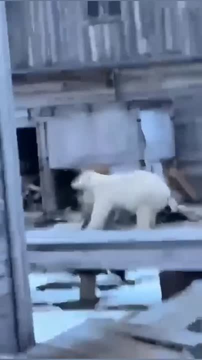   !