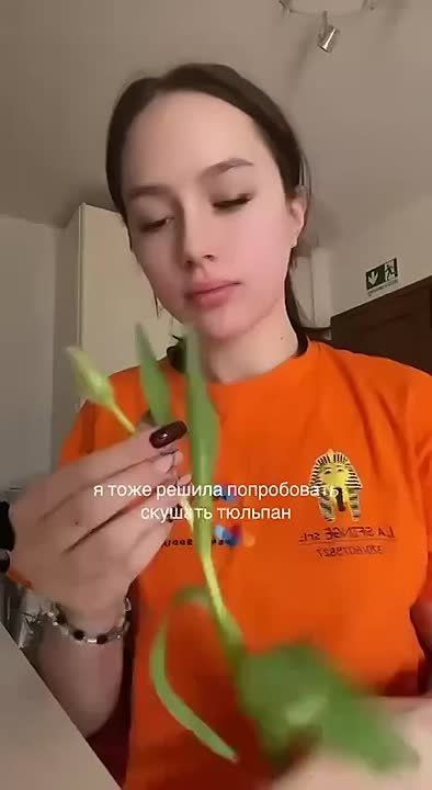    :      ( )