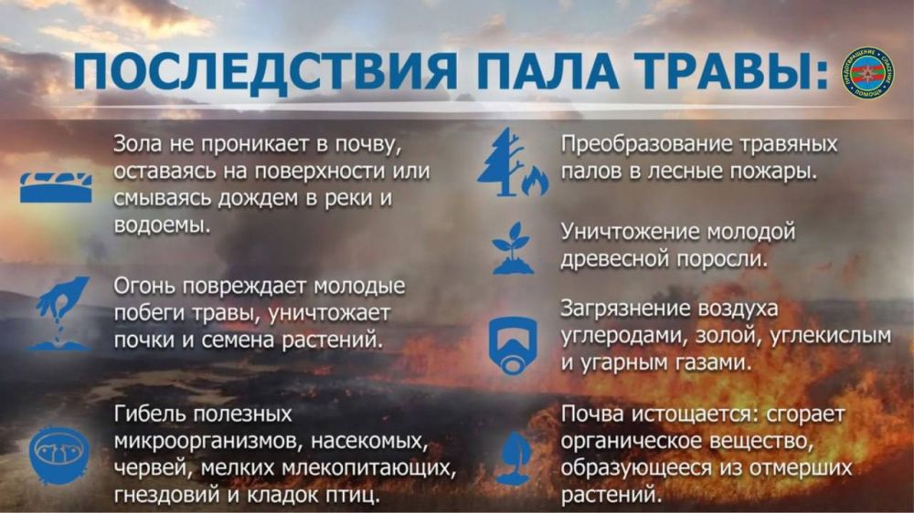 В Приднестровье горит сухая трава В Приднестровье горит сухая трава