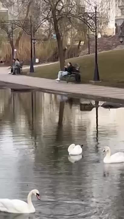   ,  