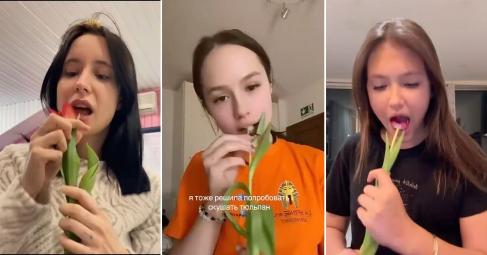   :       TikTok