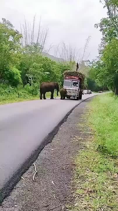   ?   ?