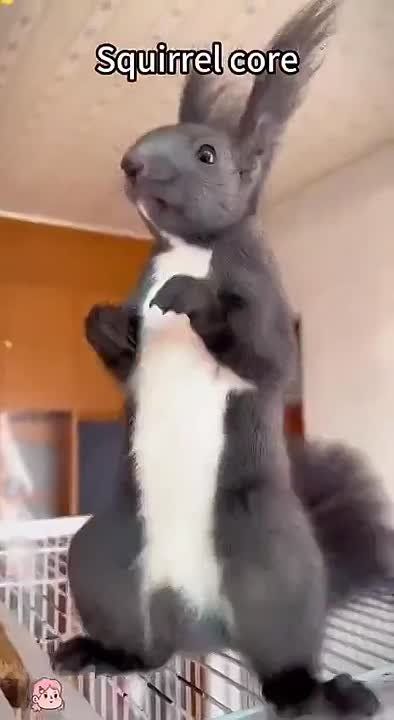     :   