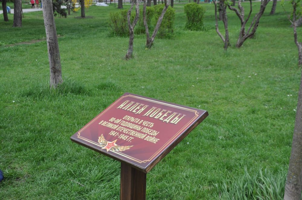 В этот раз более 40 молодых саженцев сирени, посаженных руками бендерчан, стали частью сквера Победы