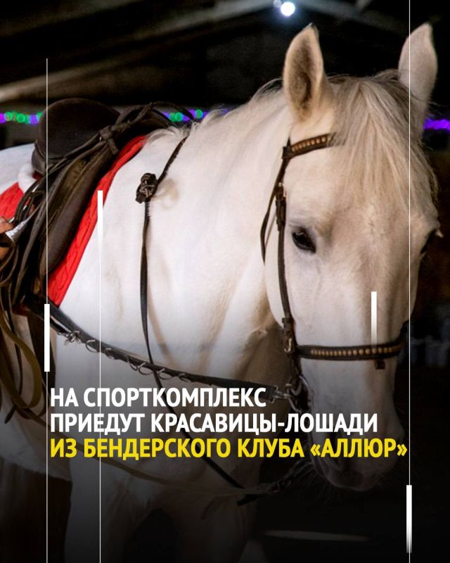     16:00