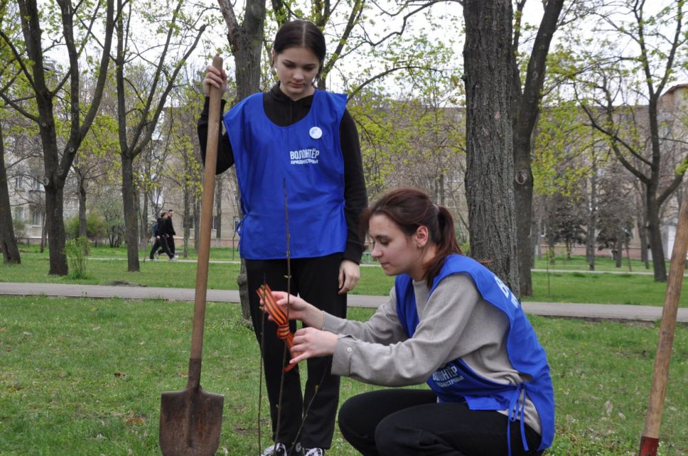 В этот раз более 40 молодых саженцев сирени, посаженных руками бендерчан, стали частью сквера Победы В этот раз более 40 молодых саженцев сирени, посаженных руками бендерчан, стали частью сквера Победы