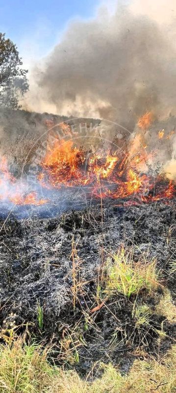 В Дубоссарском районе выгорели 20 гектаров сухой травы и камыша В Дубоссарском районе выгорели 20 гектаров сухой травы и камыша