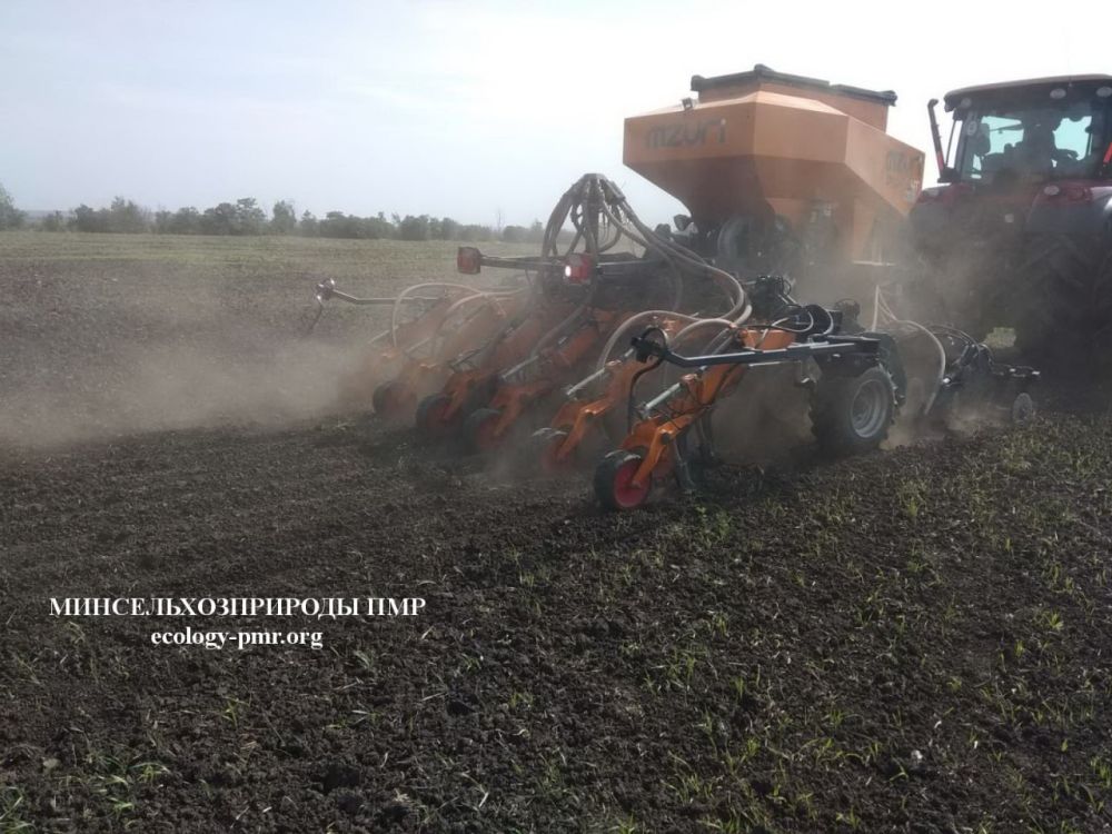 Посевной кампанией охвачено почти четверть сельхозземель