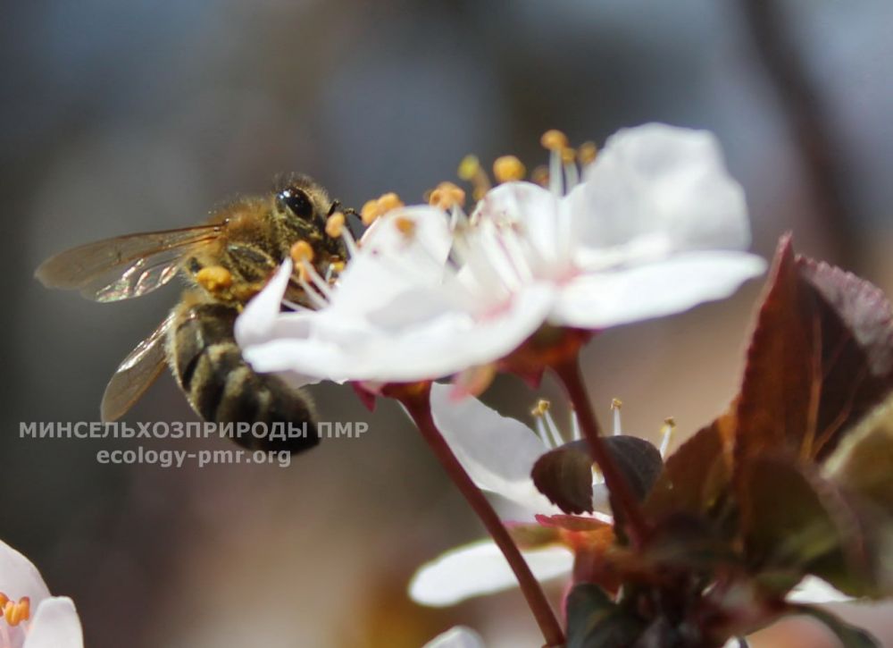 Доброго утра!. Прогноз погоды на сегодня, 24 апреля