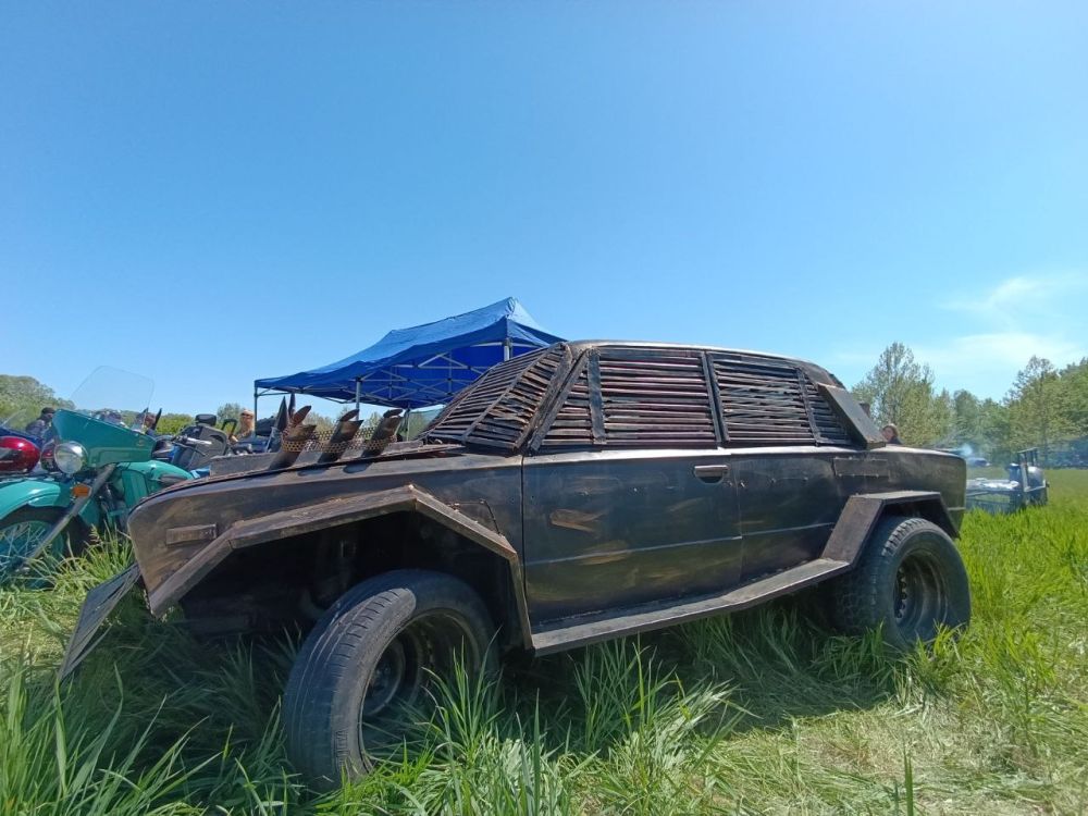 Tesla Cybertruck ?.       &quot;Bears&quot; ?