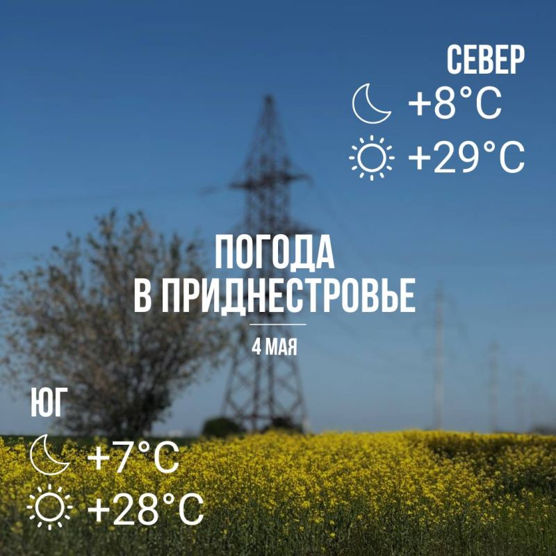    +29.  