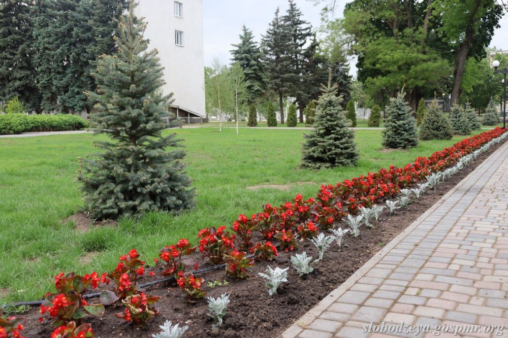 Слободзея расцветает к 80-летию Великой Победы Слободзея расцветает к 80-летию Великой Победы