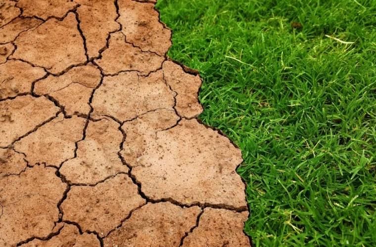 Почва в Молдове деградирует: она стала хуже впитывать воду, что вредит посевам и усиливает водный кризис Молдовы, говорится в докладе международного движения «Спасём почву»