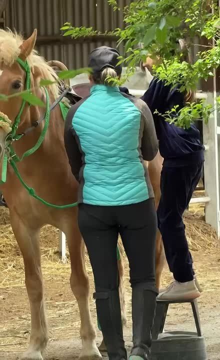 В конноспортивном клубе «Аллюр» каждый день детский аншлаг