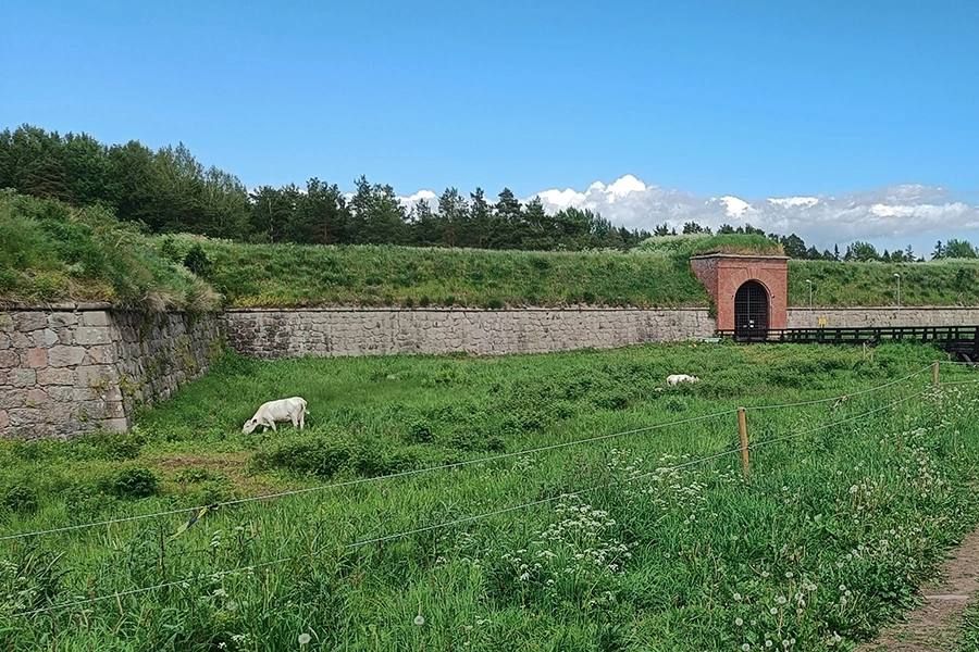        1 :