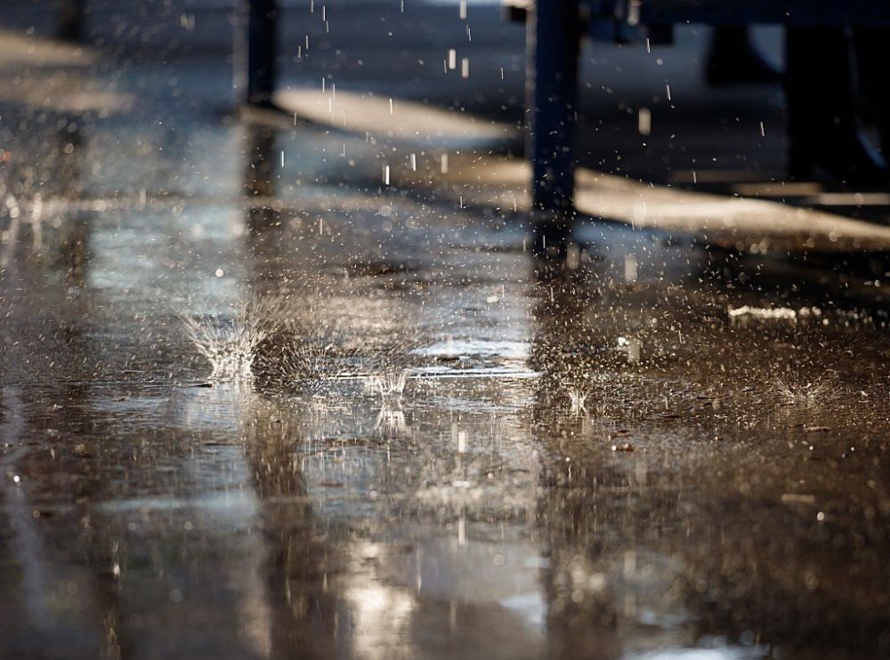 Дожди, дожди, дожди. Анализ погоды от главного метеоролога Приднестровья «С 23 по 29 мая в Приднестровье прошли обильные осадки, составившие 26 – 74 миллиметра