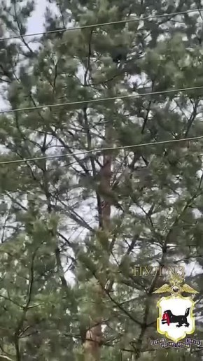 ,  ,  . , !     :                     