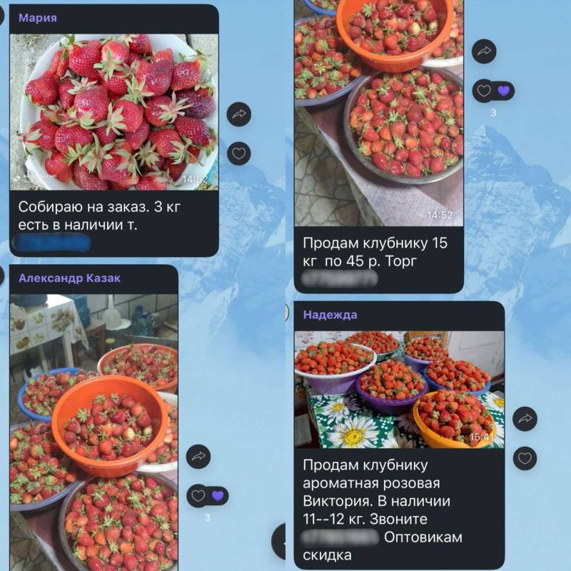 В сельских пабликах клубничный бум