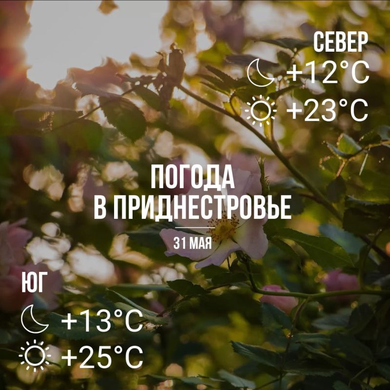 Последний майский день будет тёплым, днём — до плюс 25 градусов