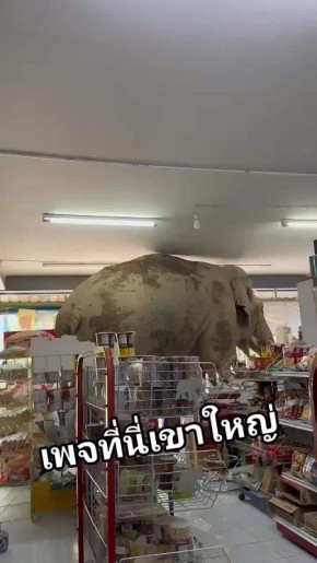      ,          