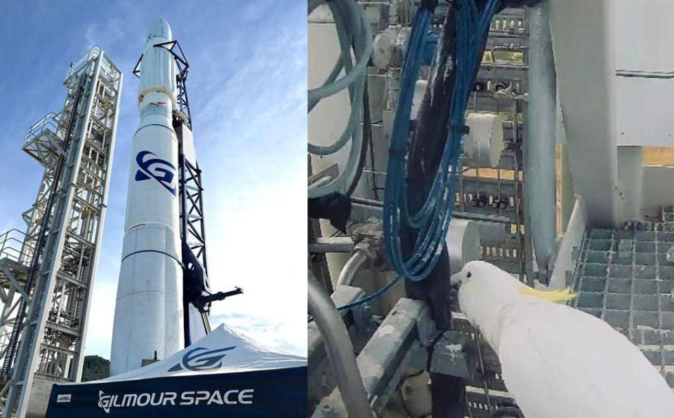 Попугай помешал запустить первую в Австралии ракету: он пробрался на стартовую площадку и погрыз провода