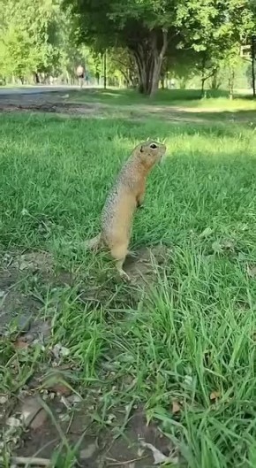         !