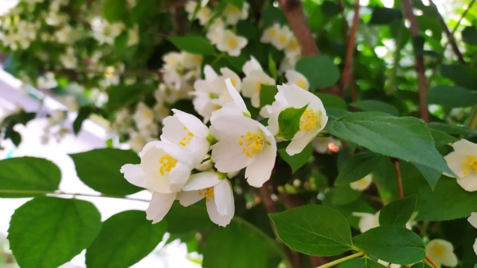 Прогноз погоды на сегодня, 5 июня