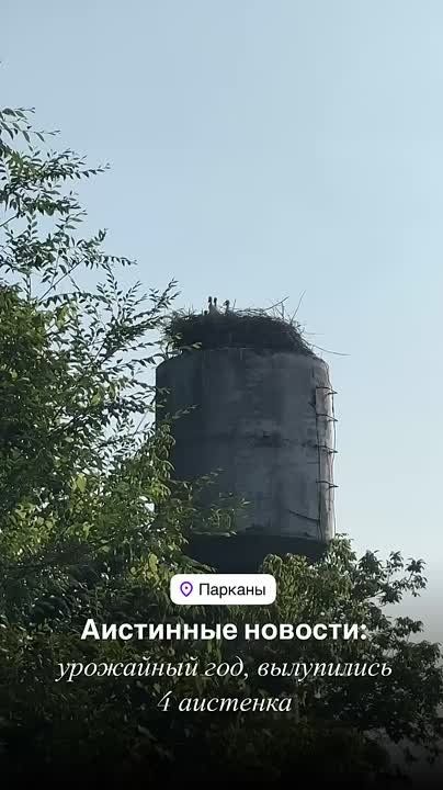    -:      