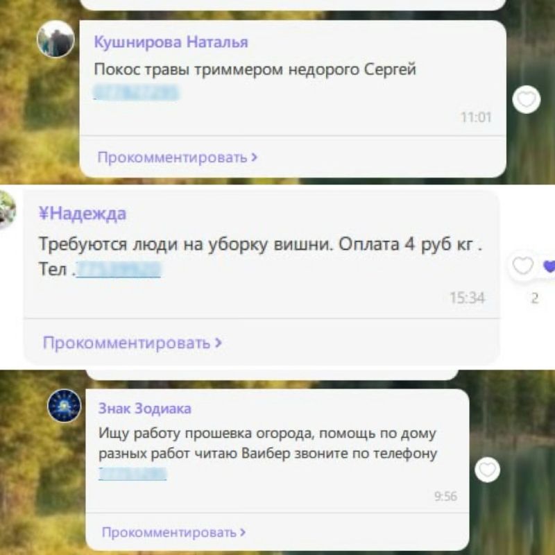 Цены на подработку: за 8-часовую прополку вашего огорода под солнцем просят 300 рублей с обязательным обедом