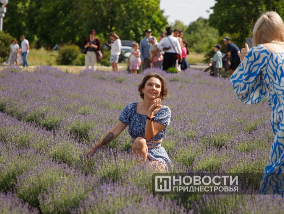 Первый Фестиваль лаванды в Первомайске Первый Фестиваль лаванды в Первомайске