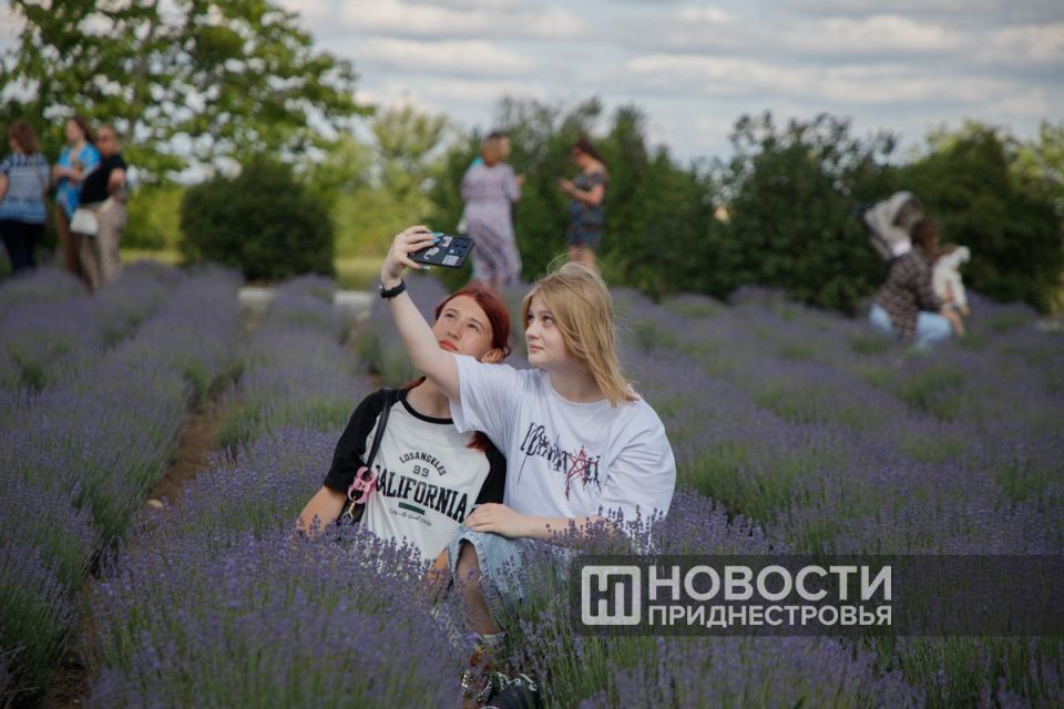 Первый Фестиваль лаванды в Первомайске Первый Фестиваль лаванды в Первомайске