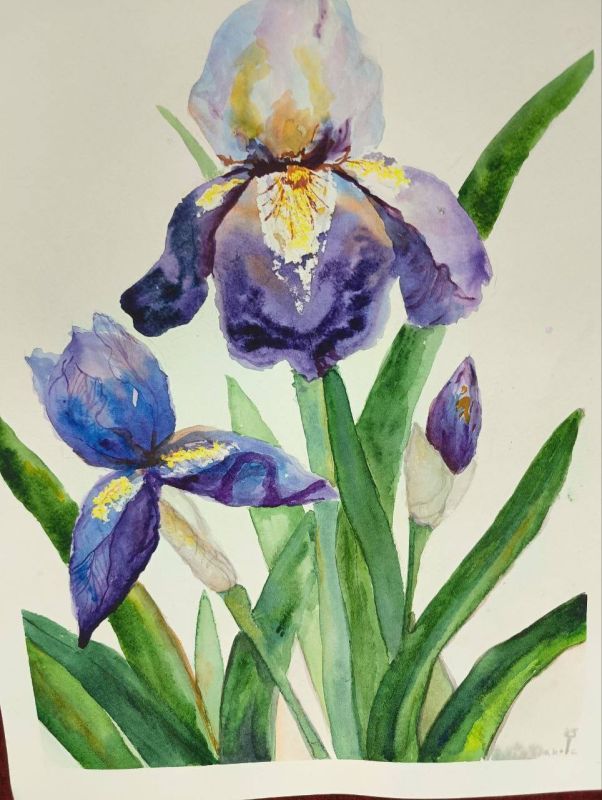 На прошлых занятиях в Приднестровском государственном художественном музее дети рисовали сказки Пушкина, а взрослые пытались разгадать загадки цветка ириса На прошлых занятиях в Приднестровском государственном художественном музее дети рисовали сказки Пушкина, а взрослые пытались разгадать загадки цветка ириса