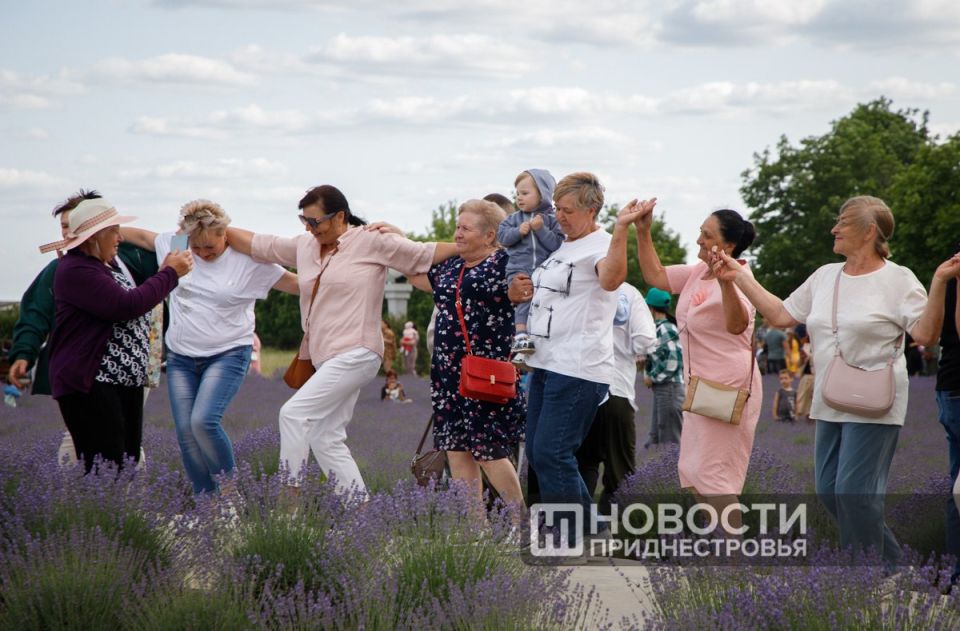Первый Фестиваль лаванды в Первомайске Первый Фестиваль лаванды в Первомайске