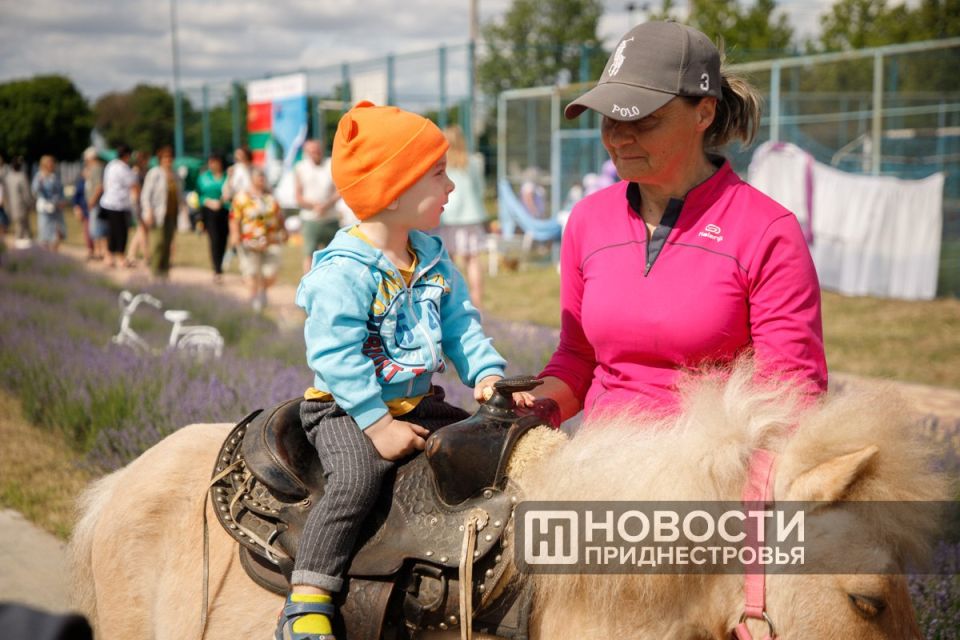 Первый Фестиваль лаванды в Первомайске Первый Фестиваль лаванды в Первомайске