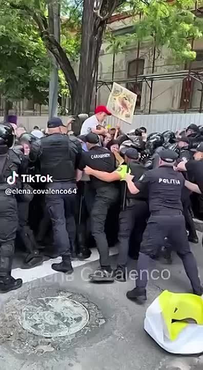   ,       ,     