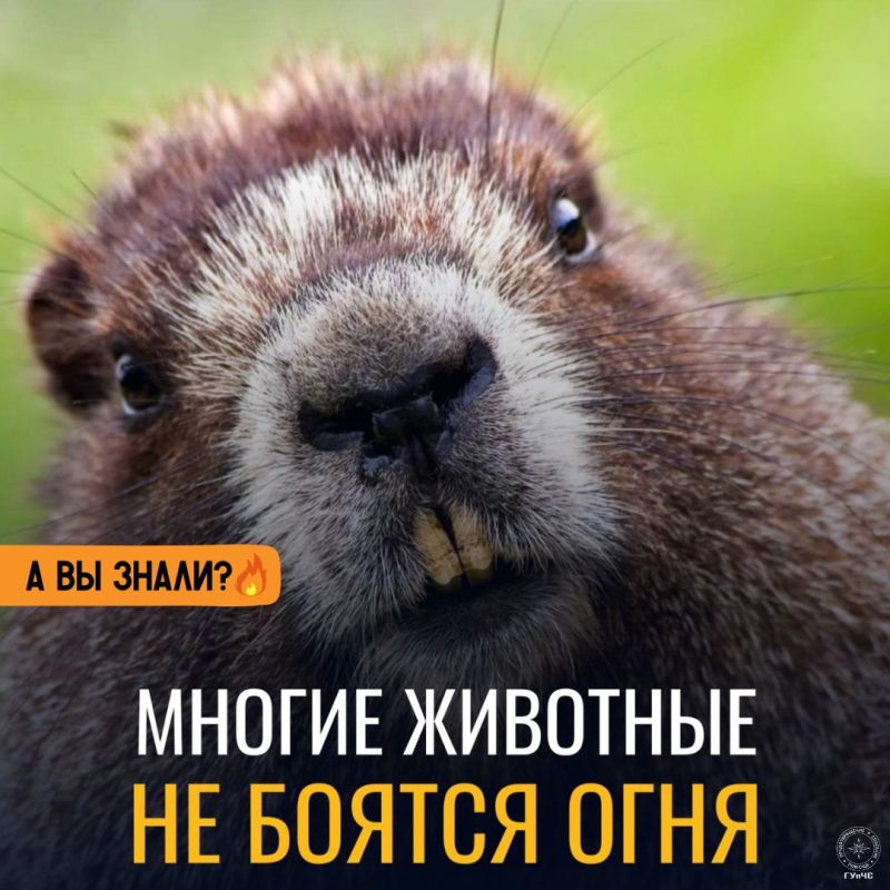 #: ,    