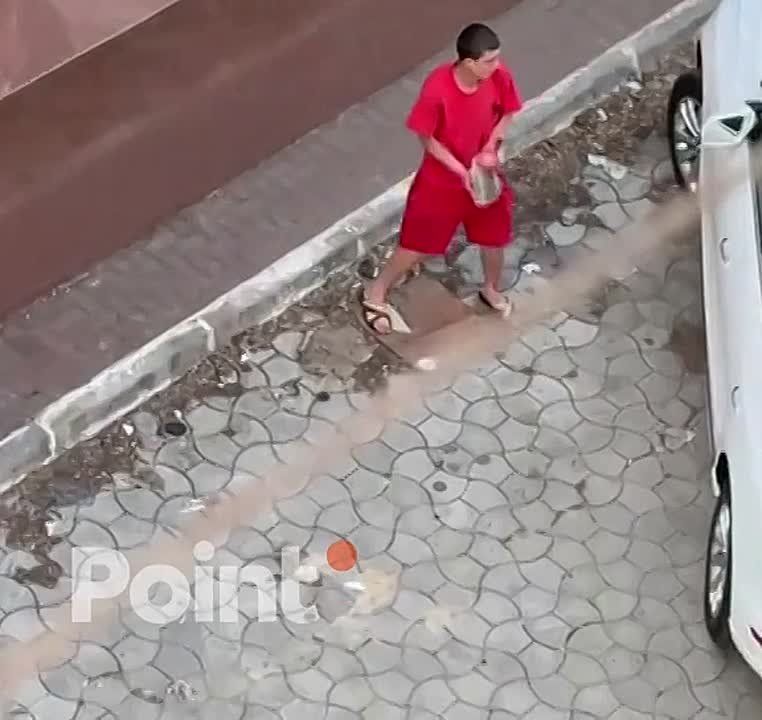                  ,  - 