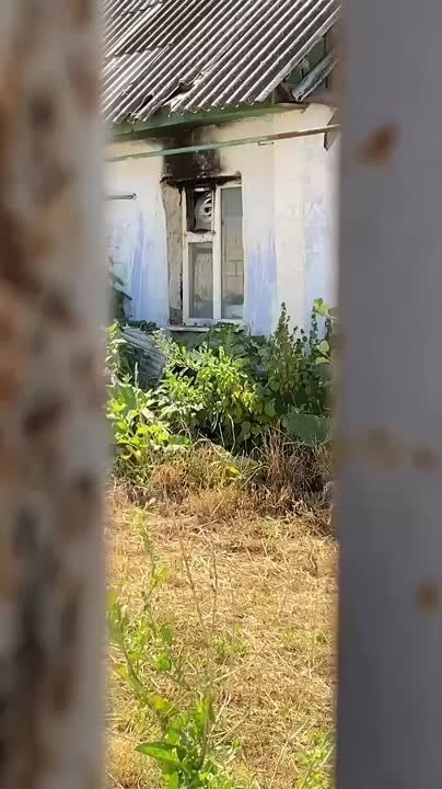        ,    ,   