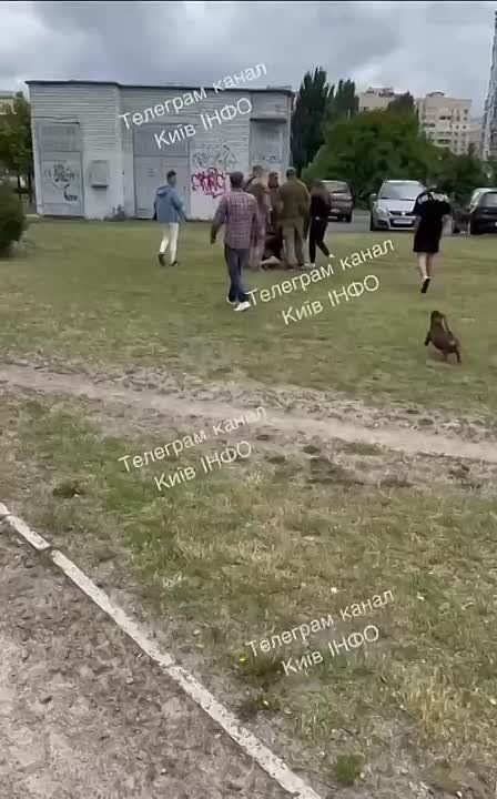      ,     ,      -   