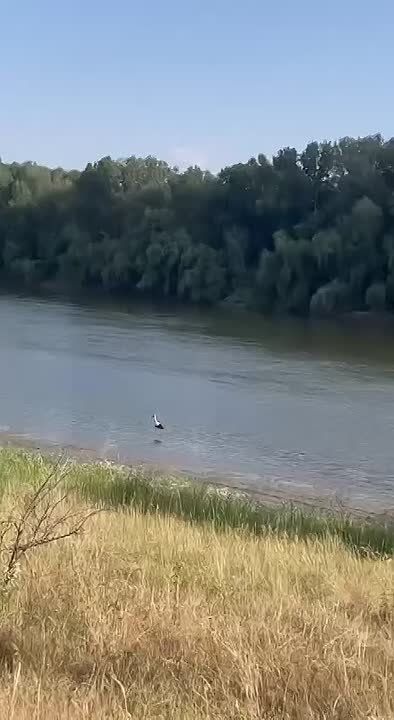   .  ,   