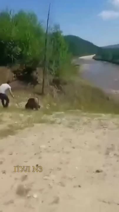  , !    !: