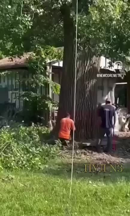  :         ,   