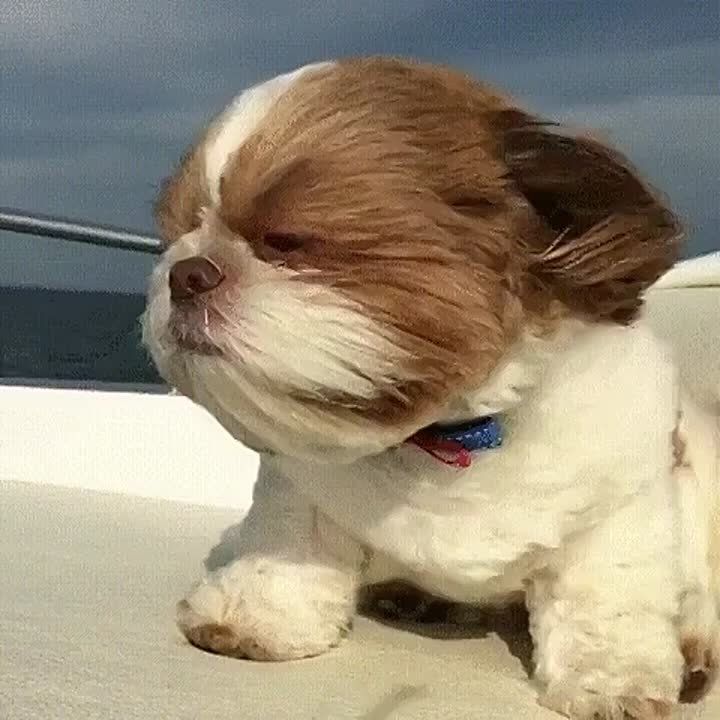 :  !